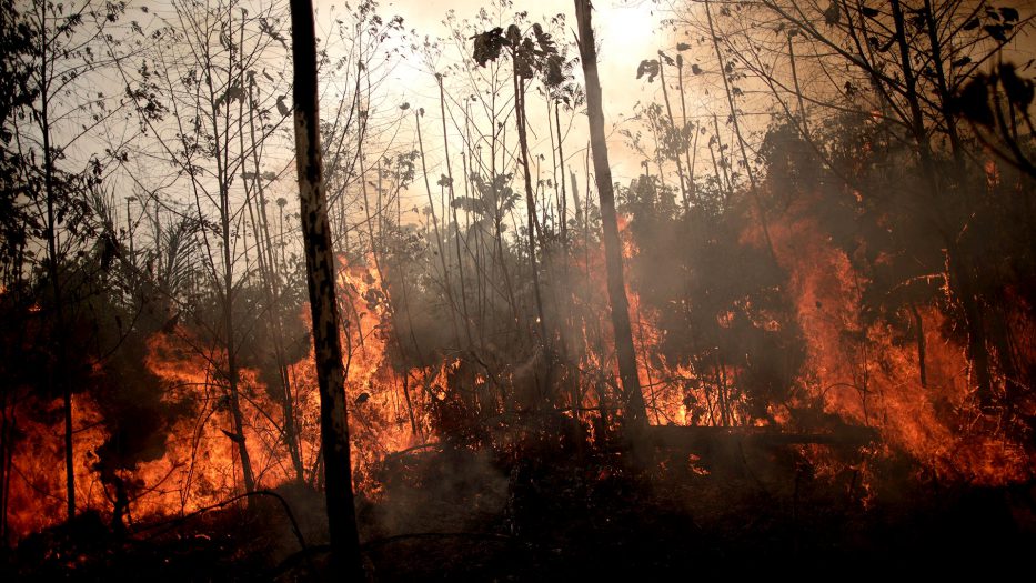 incendio en el Amazonas