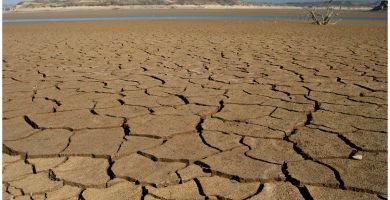 Investigadores del Caribbean Climate Outlook Forum alertan sequía en el Caribe a partir de febrero próximo