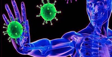 Cientos de investigadores están estudiando a contrarreloj las implicaciones que tiene este virus en las personas