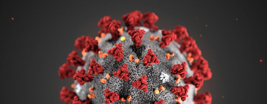 El análisis del genoma del nuevo virus mostró que este podría ser más infeccioso y más peligroso