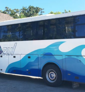 A partir de este 5 de diciembre la empresa de transporte VIAZUL reanudará desde la capital las 18 rutas