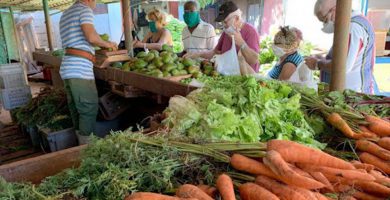 los precios mayoristas y minoristas que tendrán en La Habana los productos agropecuarios