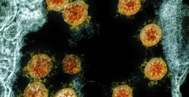 nuevas variantes del coronavirus