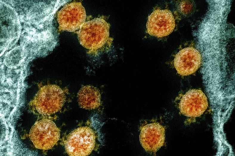 nuevas variantes del coronavirus