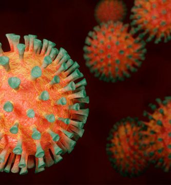 origen del coronavirus