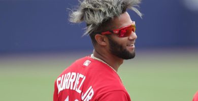 Gurriel Jr. tiene nuevo equipo en la MLB