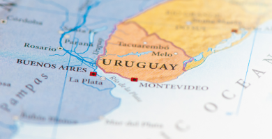 Residencia por arraigo: la medida que beneficia a los cubanos en Uruguay